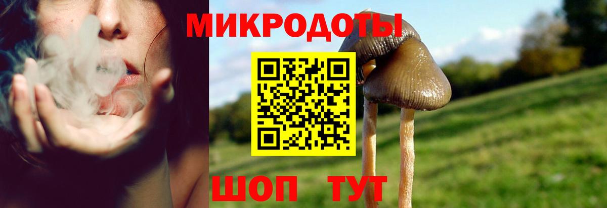 Галлюциногенные грибы MAGIC MUSHROOMS  Вход с VPN  купить наркоту  Бирск 